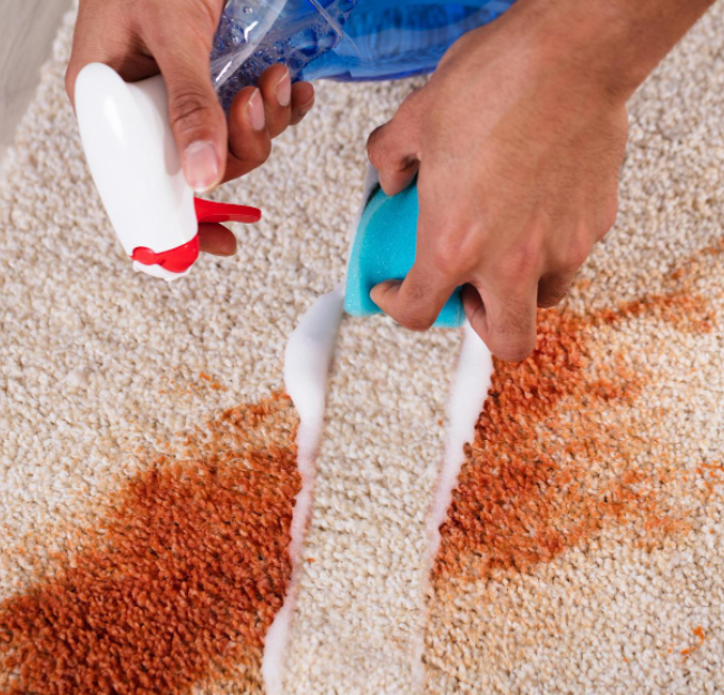 Hands applying cleaning solution to a stained carpet, demonstrating pet stain and odor removal targeting deep spills and discoloration