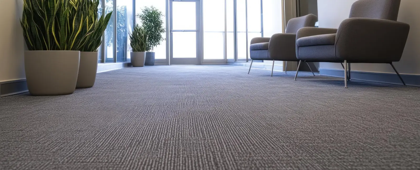 Low-angle view of a clean, well-maintained commercial carpet stretching across a modern office waiting area, with contemporary chairs, potted plants, and large glass windows, emphasizing professional carpet cleaning and a fresh indoor workspace